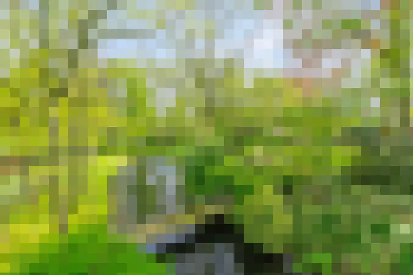 Menthedalaan 5 Middelstum thumbnail 38