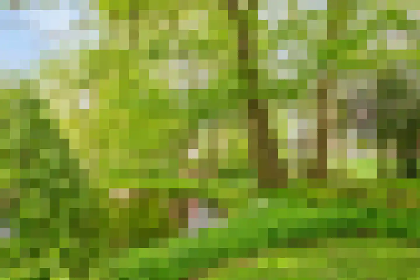 Menthedalaan 5 Middelstum thumbnail 39