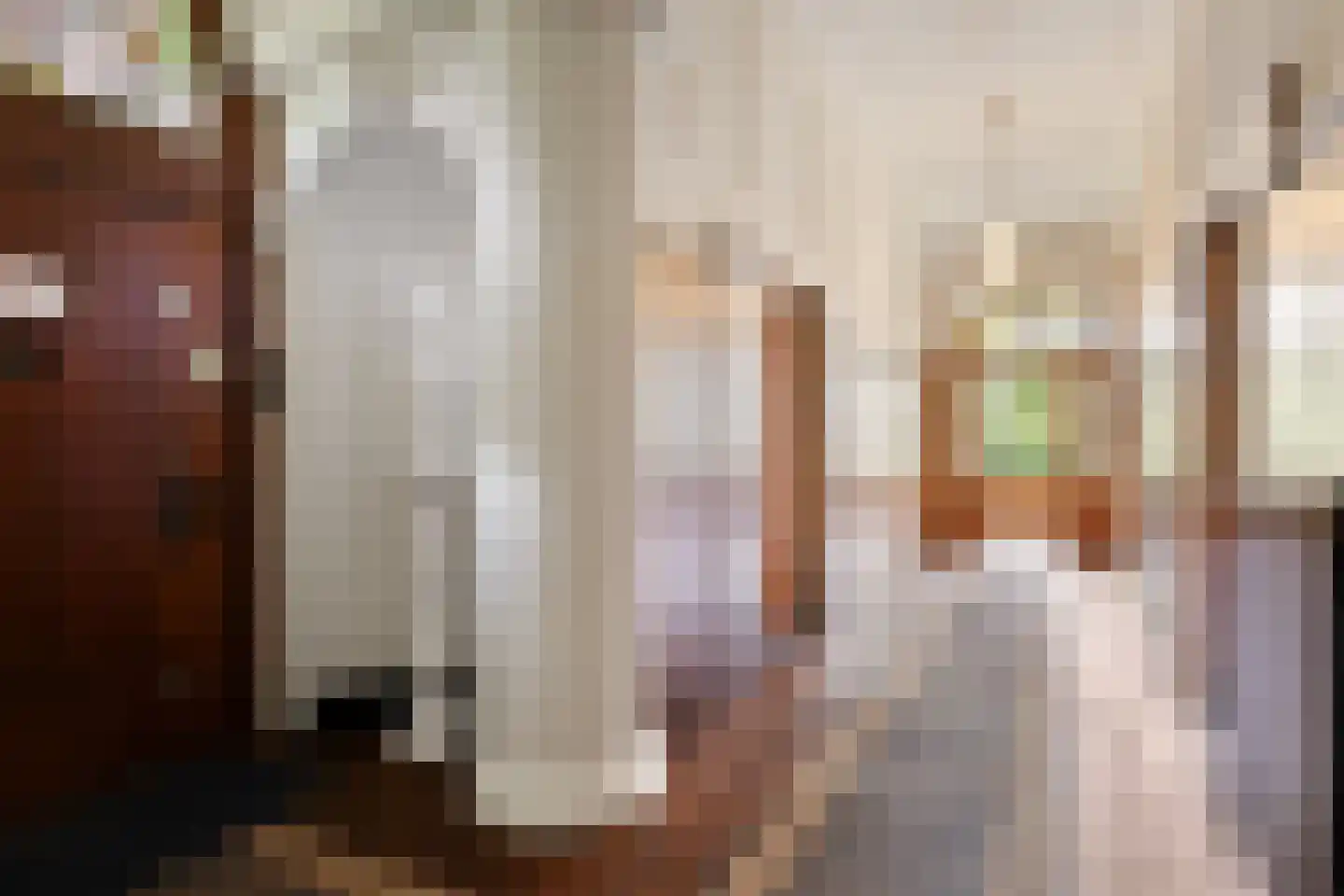 Menthedalaan 5 Middelstum thumbnail 4