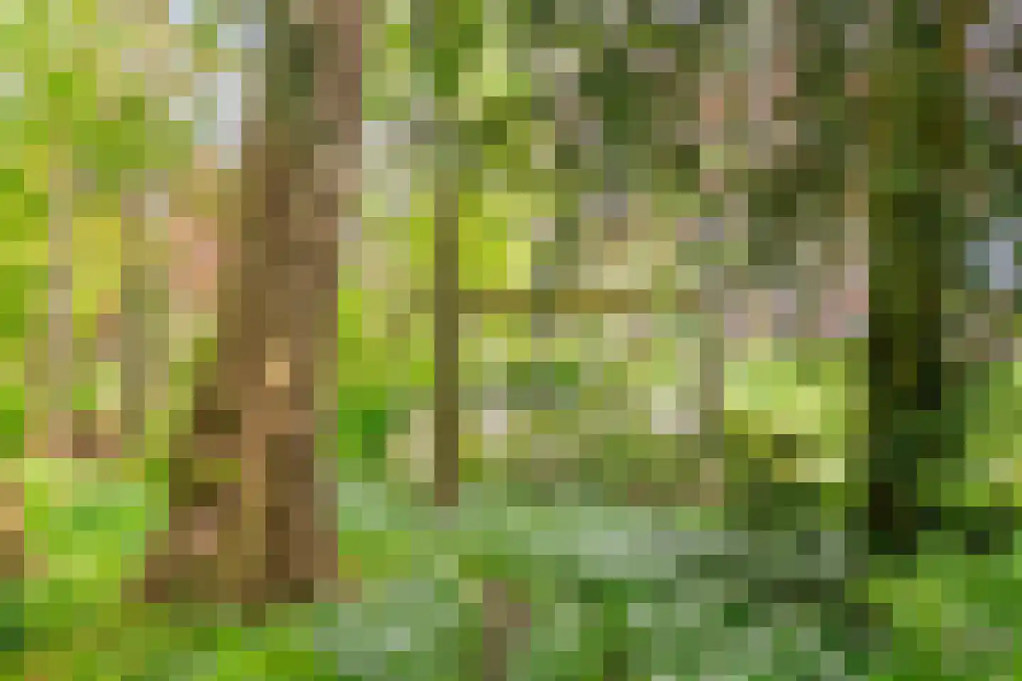 Menthedalaan 5 Middelstum thumbnail 40
