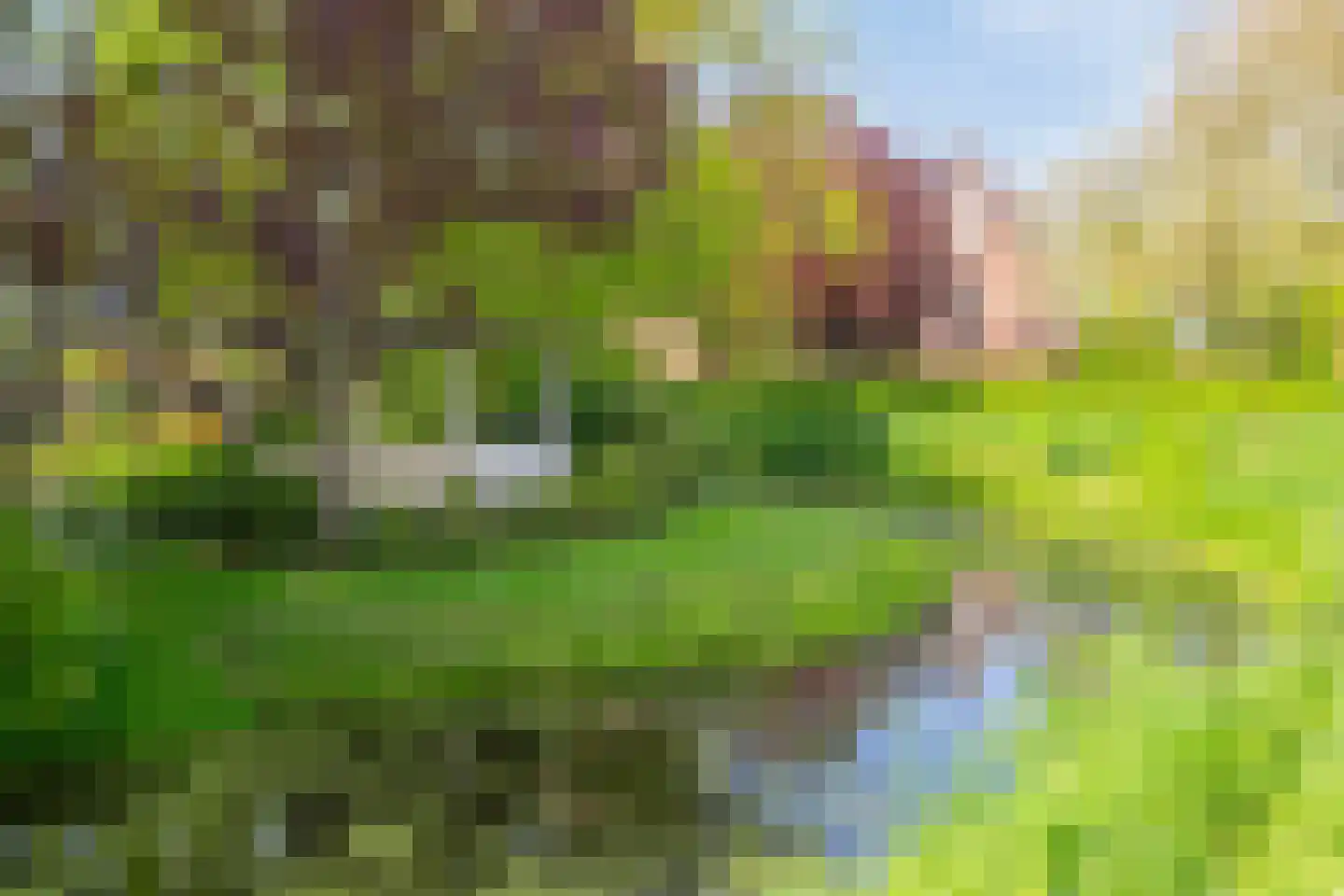 Menthedalaan 5 Middelstum thumbnail 41