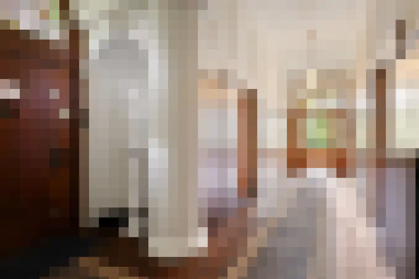 Menthedalaan 5 Middelstum thumbnail 48
