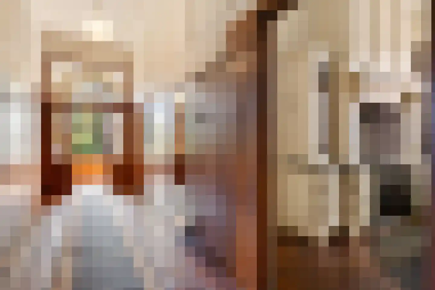 Menthedalaan 5 Middelstum thumbnail 57