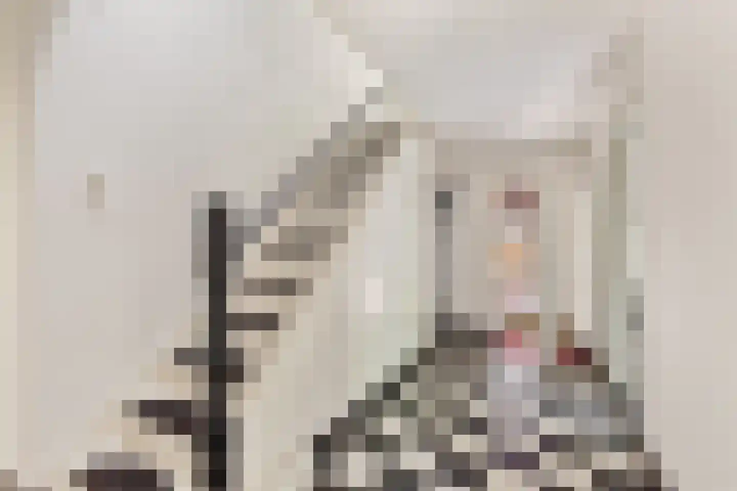 Menthedalaan 5 Middelstum thumbnail 61