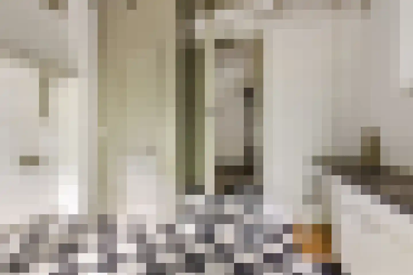 Menthedalaan 5 Middelstum thumbnail 62