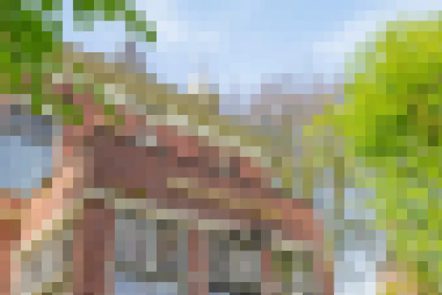 Menthedalaan 5 Middelstum thumbnail 7