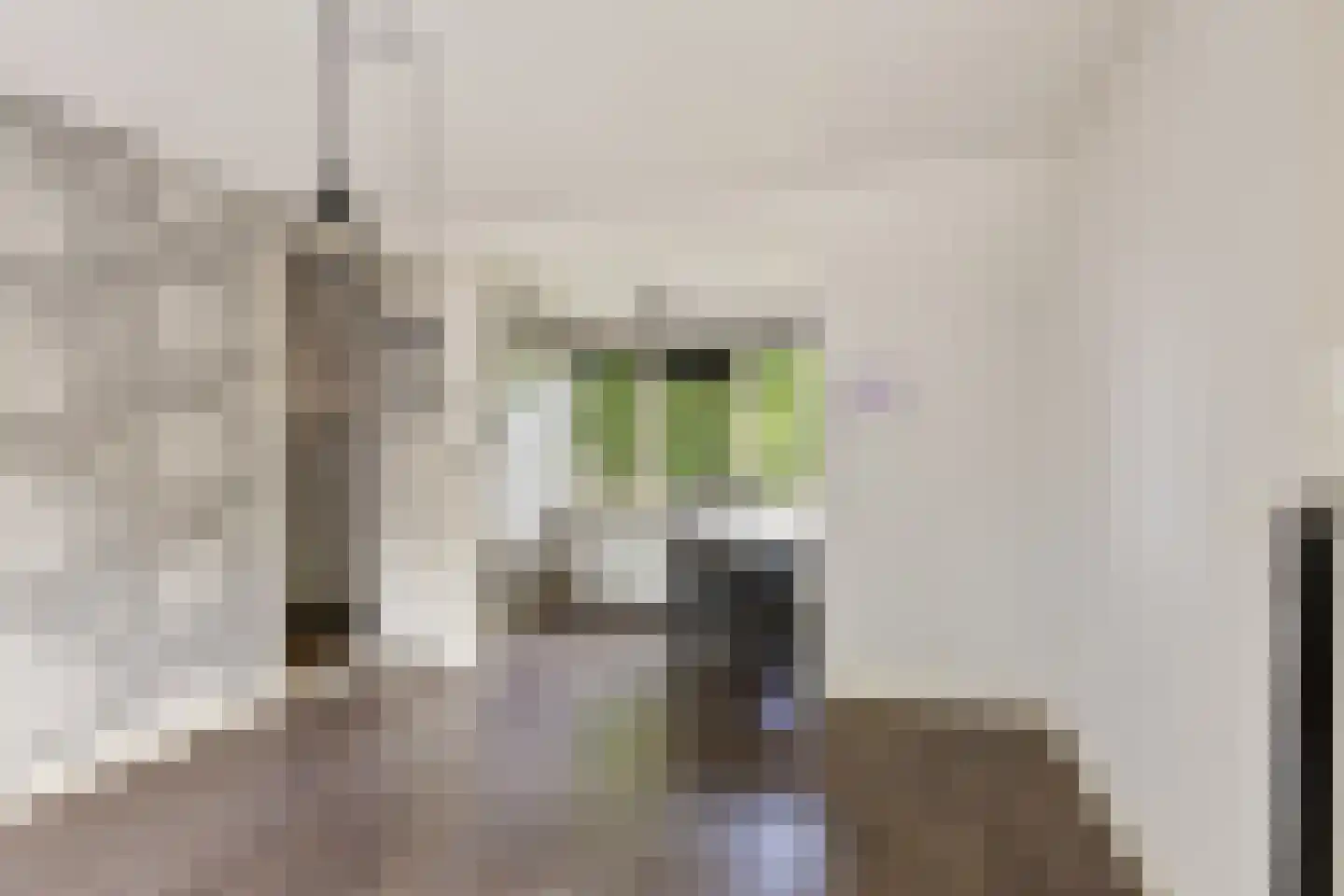 Menthedalaan 5 Middelstum thumbnail 74