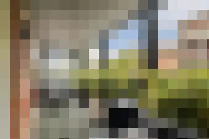 Menuet 1 Nieuw-Vennep thumbnail 13
