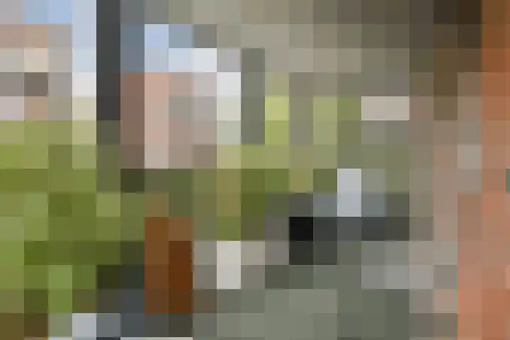 Menuet 1 Nieuw-Vennep thumbnail 14