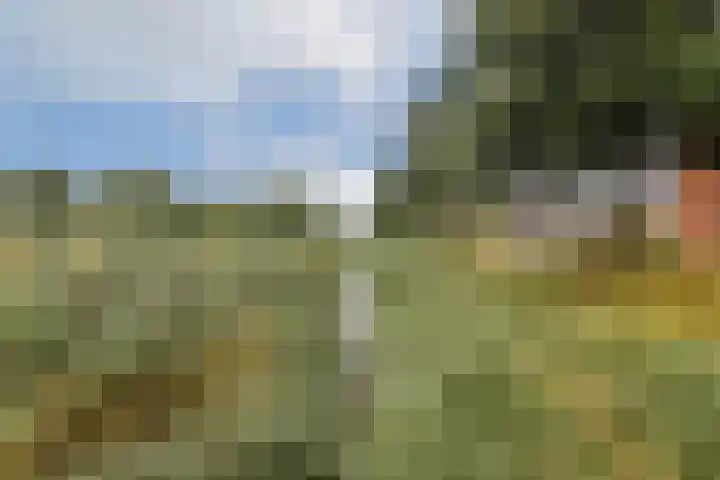 Menuet 1 Nieuw-Vennep thumbnail 18