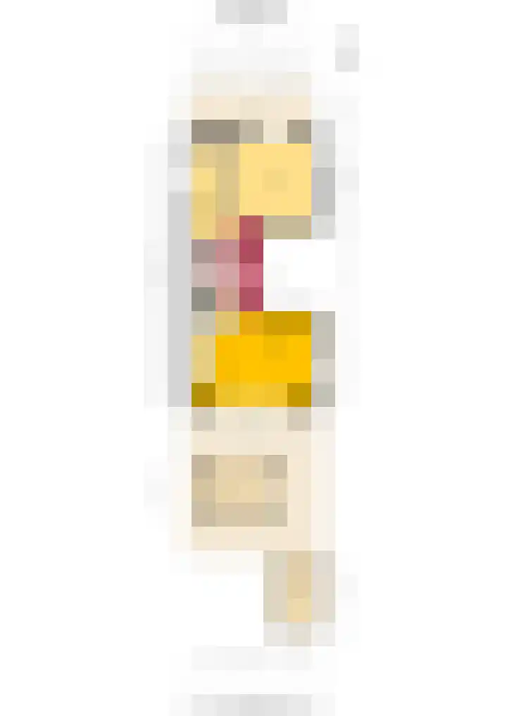 Menuet 1 Nieuw-Vennep thumbnail 20