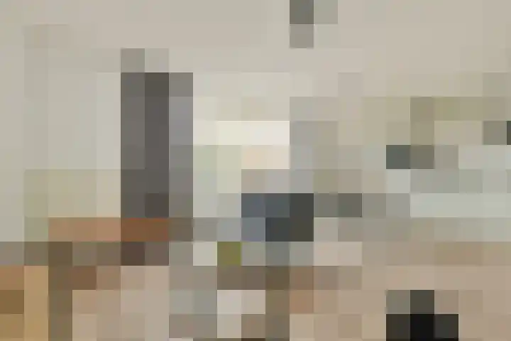 Menuet 1 Nieuw-Vennep thumbnail 4