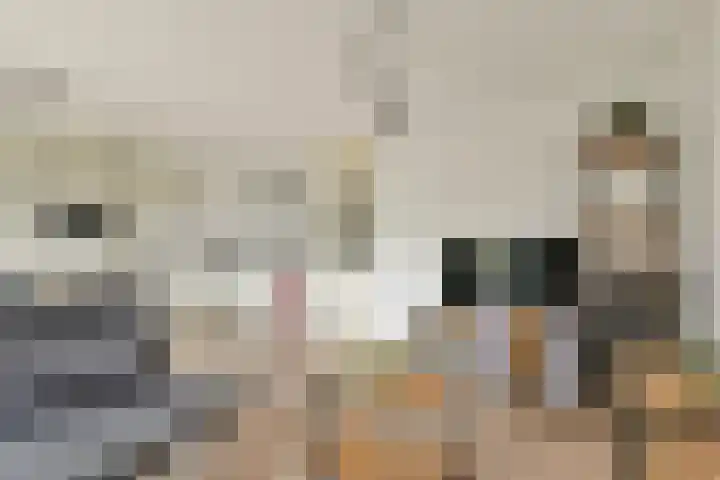 Menuet 1 Nieuw-Vennep thumbnail 5