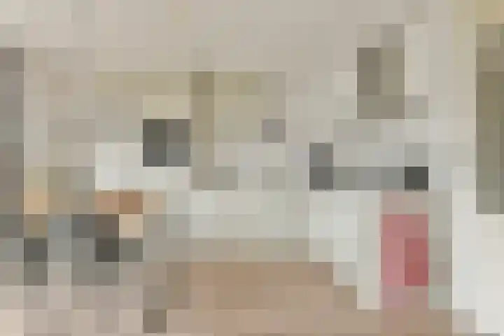 Menuet 1 Nieuw-Vennep thumbnail 6