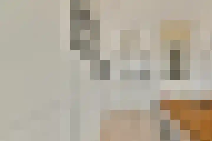 Menuet 1 Nieuw-Vennep thumbnail 7