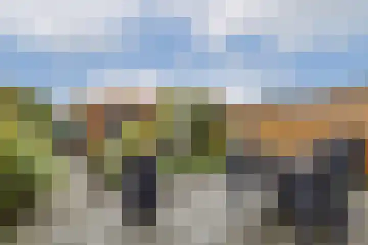 Menuet 1 Nieuw-Vennep thumbnail 8