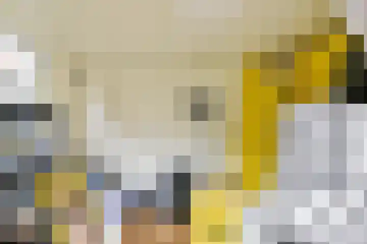 Menuet 1 Nieuw-Vennep thumbnail 9