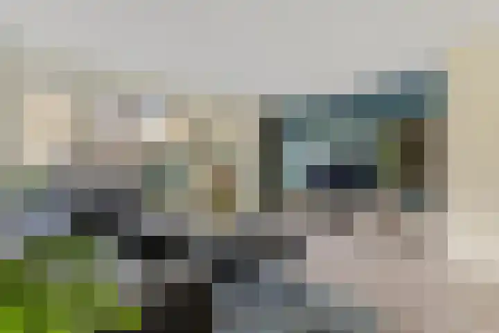 Menuet 50 Sliedrecht thumbnail 10
