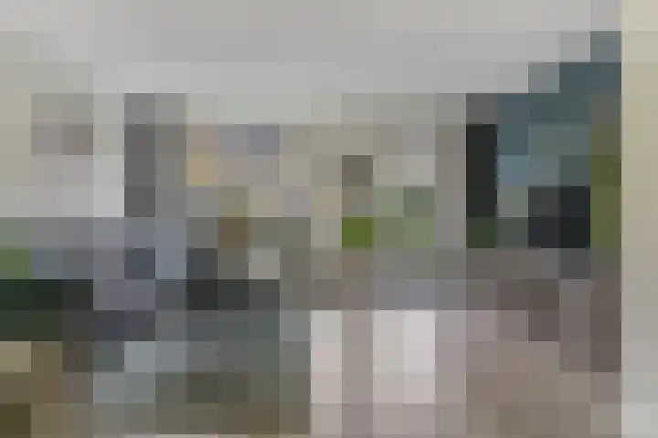 Menuet 50 Sliedrecht thumbnail 11