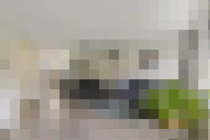 Menuet 50 Sliedrecht thumbnail 12