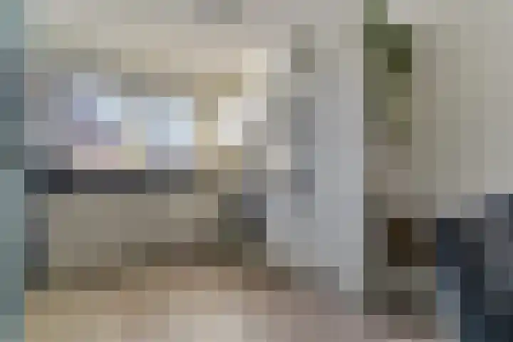 Menuet 50 Sliedrecht thumbnail 15