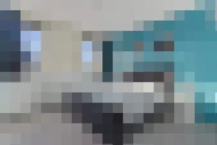 Menuet 50 Sliedrecht thumbnail 19