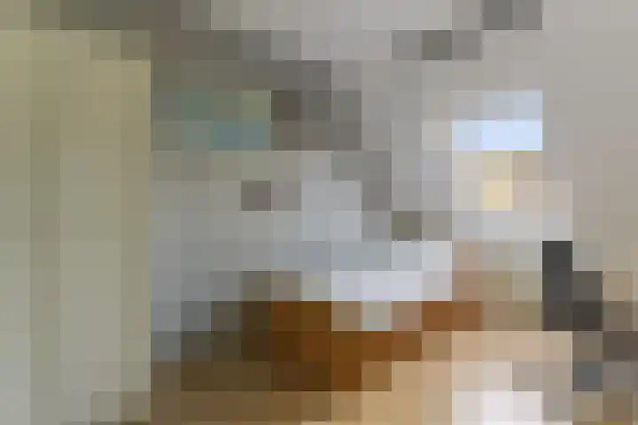 Menuet 50 Sliedrecht thumbnail 21