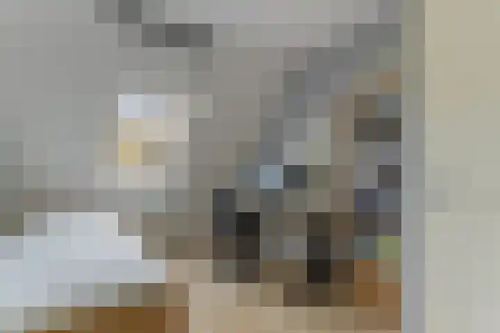 Menuet 50 Sliedrecht thumbnail 22
