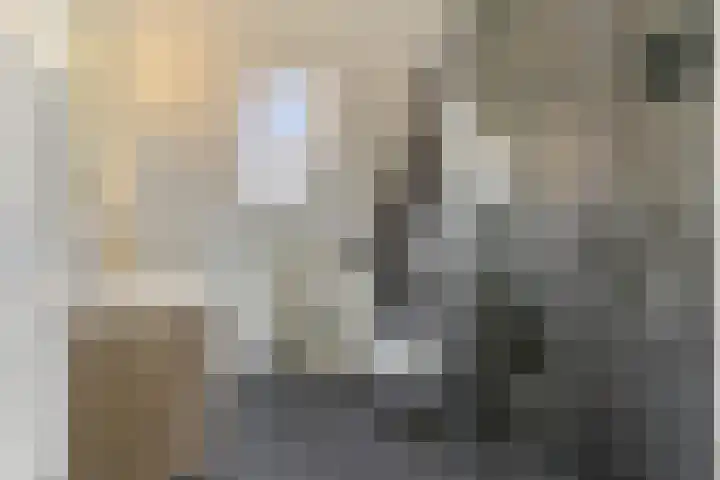 Menuet 50 Sliedrecht thumbnail 23