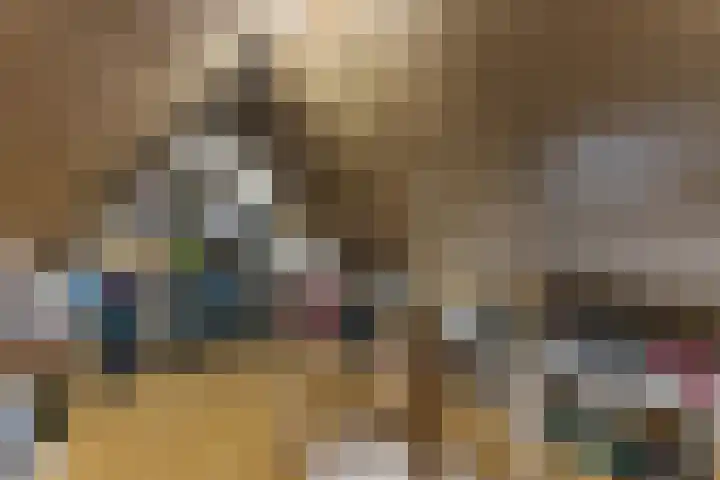Menuet 50 Sliedrecht thumbnail 25
