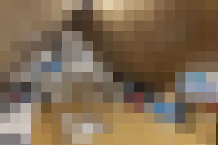 Menuet 50 Sliedrecht thumbnail 26