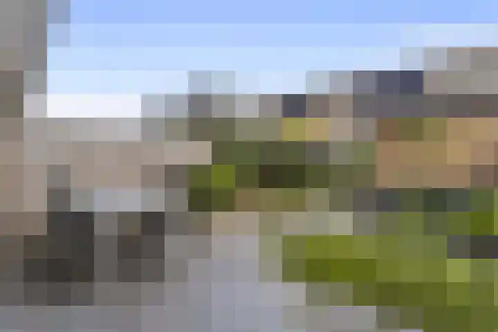 Menuet 50 Sliedrecht thumbnail 27