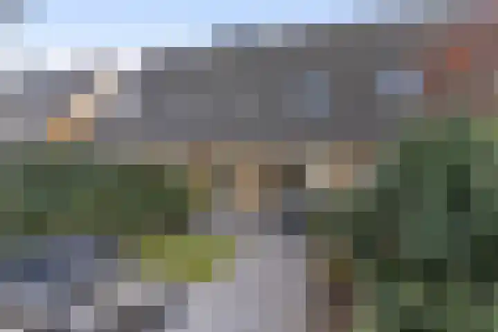 Menuet 50 Sliedrecht thumbnail 30