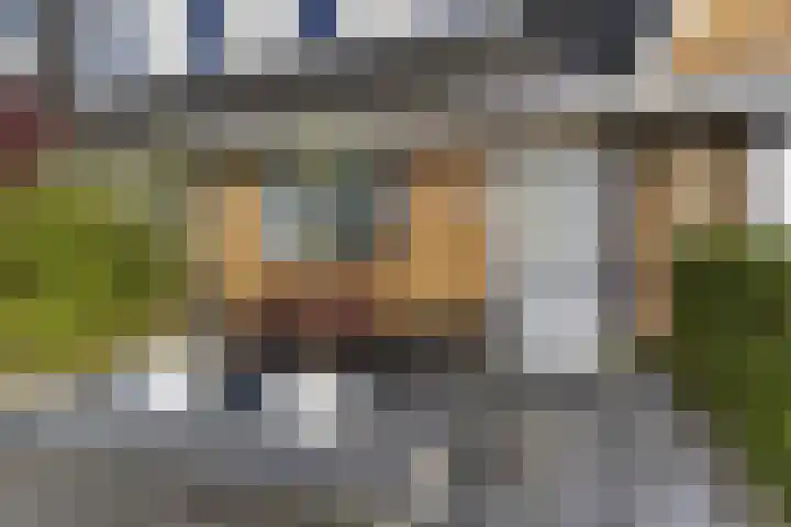 Menuet 50 Sliedrecht thumbnail 5