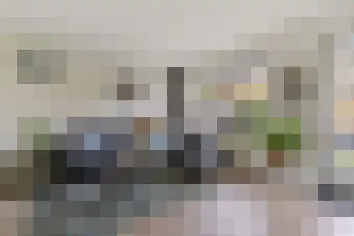 Menuet 50 Sliedrecht thumbnail 9