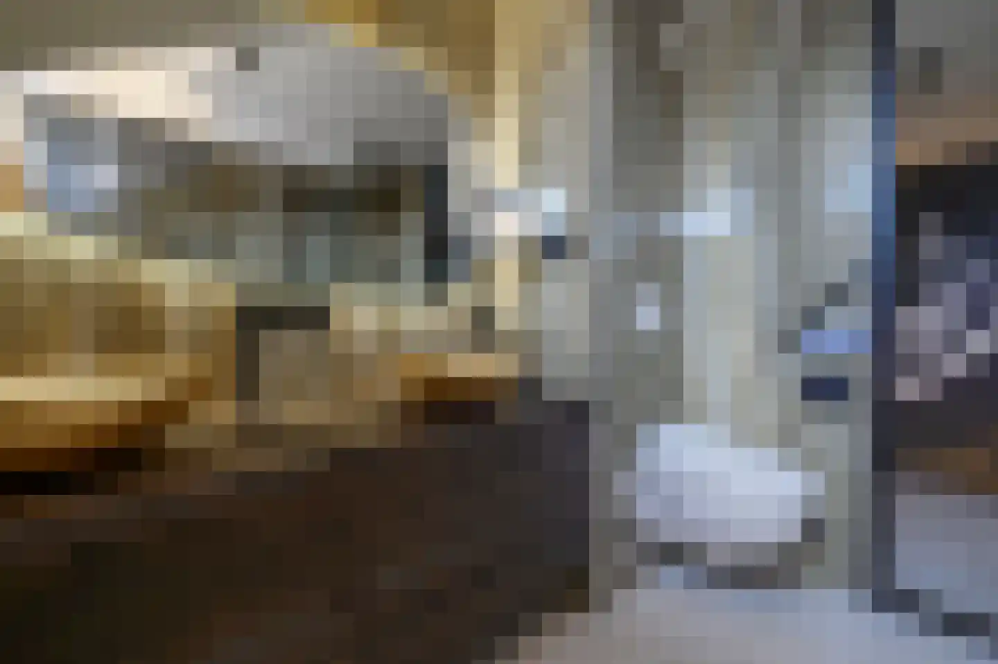Menuetstraat 31 Almere thumbnail 29