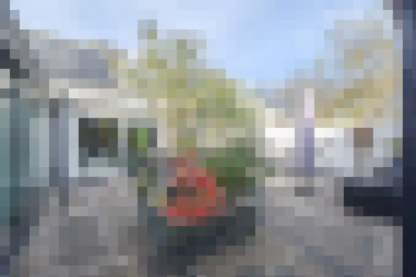 Menuetstraat 31 Almere thumbnail 37