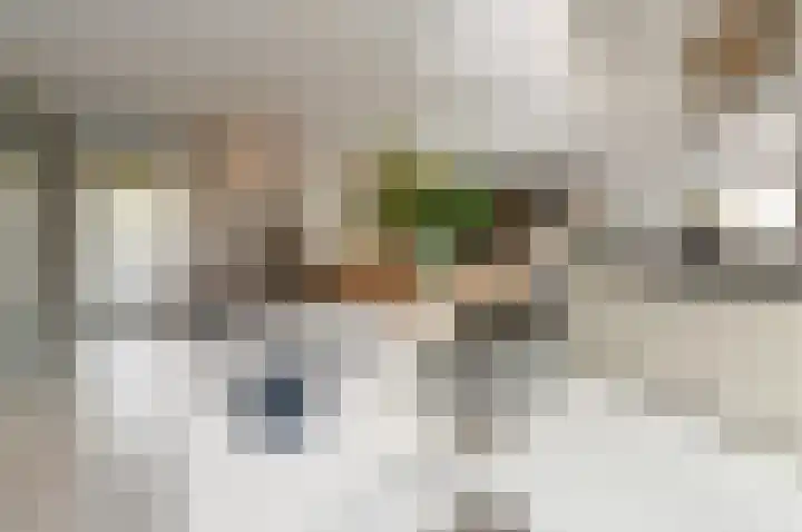 Menuetstraat 31 Almere thumbnail 8