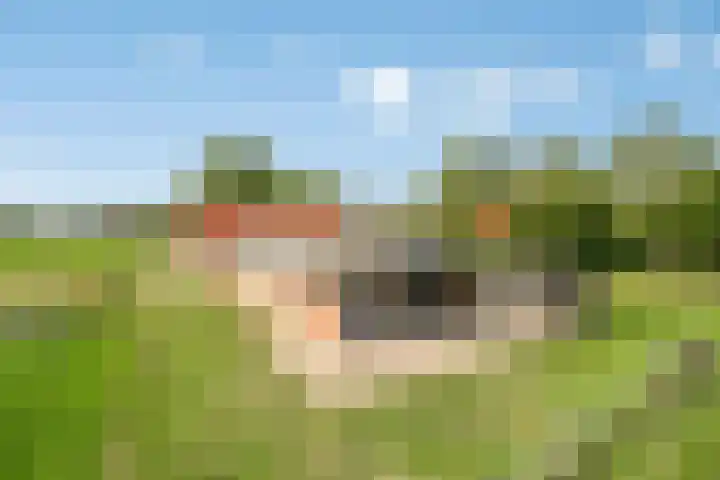 Menzel 48 Nistelrode thumbnail 10