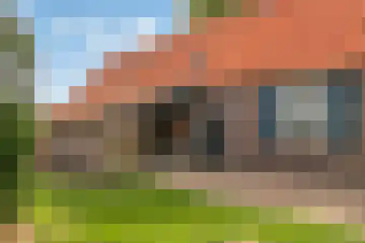 Menzel 48 Nistelrode thumbnail 4