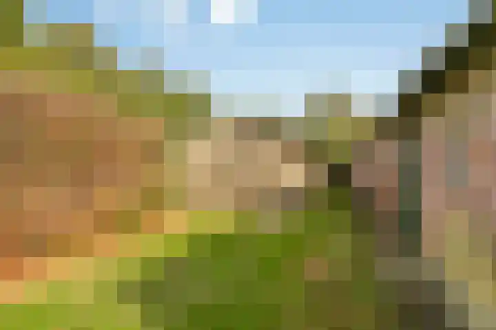 Menzel 48 Nistelrode thumbnail 8