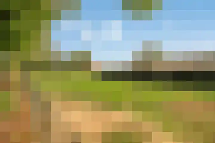 Menzel 48 Nistelrode thumbnail 9