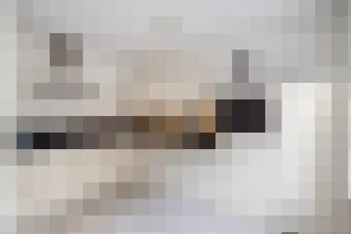 Meppelerdiep 26 Zwolle thumbnail 13