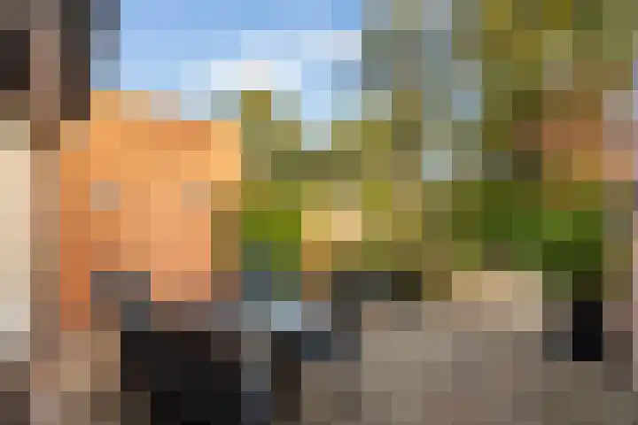 Meppelerdiep 26 Zwolle thumbnail 17