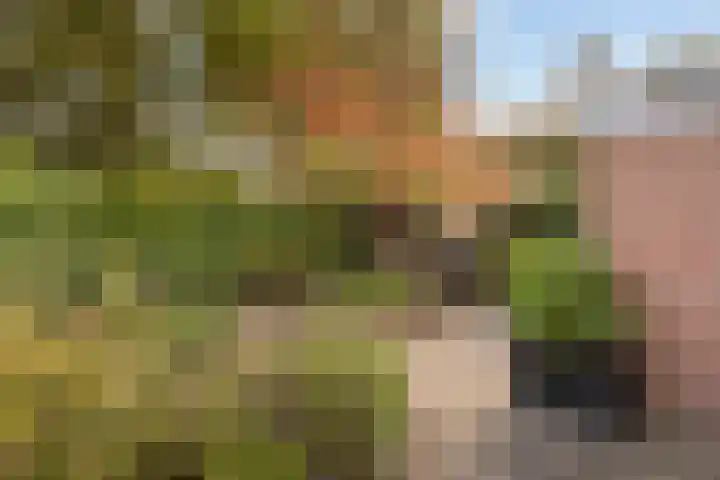 Meppelerdiep 26 Zwolle thumbnail 18