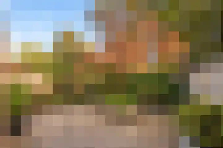 Meppelerdiep 26 Zwolle thumbnail 19