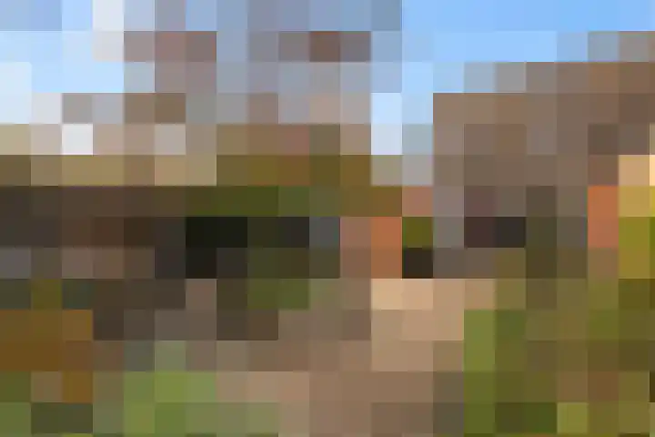 Meppelerdiep 26 Zwolle thumbnail 20