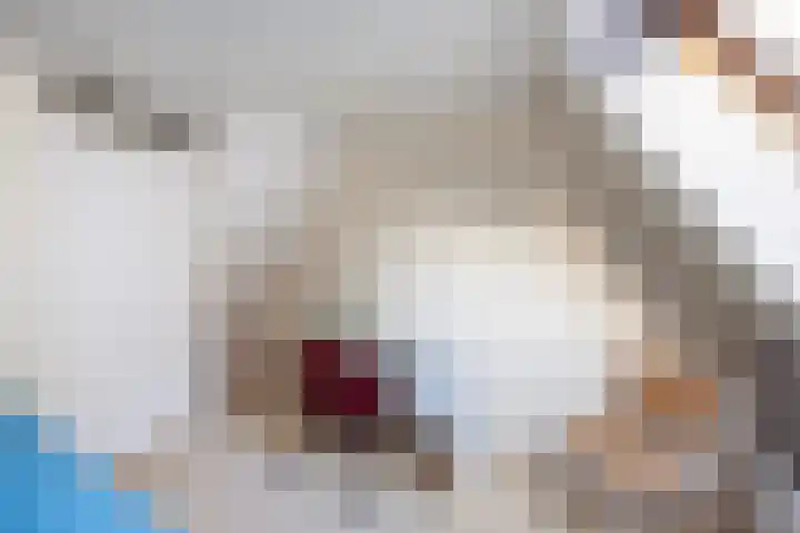 Meppelerdiep 26 Zwolle thumbnail 26