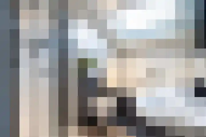 Meppelerdiep 26 Zwolle thumbnail 28