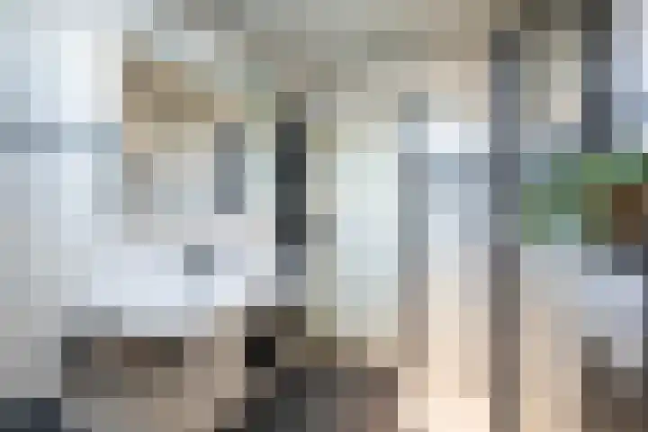 Meppelerdiep 26 Zwolle thumbnail 29